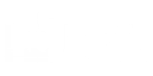profit1-300x150
